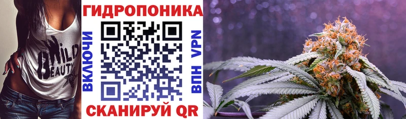 Где продают наркотики Невинномысск Галлюциногенные грибы  Cocaine  A-PVP  Мефедрон  Гашиш 