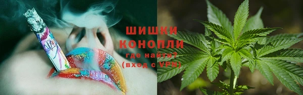 дживик Липки