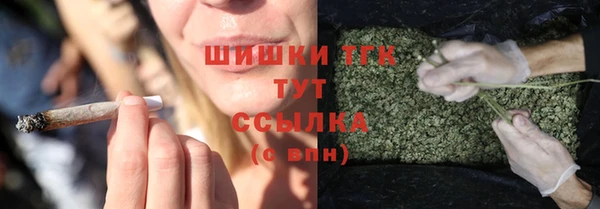 ECSTASY Лагань
