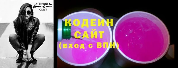 крисы Лабытнанги