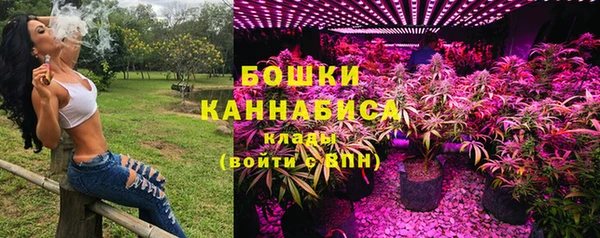 крисы Лабытнанги